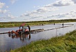 Плантационным выращиванием клюквы и брусники займутся в Уватском районе